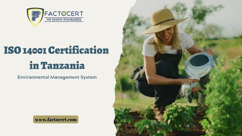 ISO 14001 Certification in Tanzania