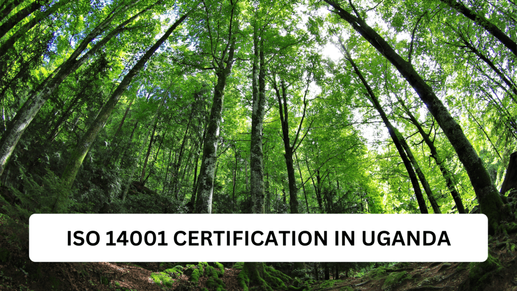ISO 14001 CERTIFICATION IN UGANDA