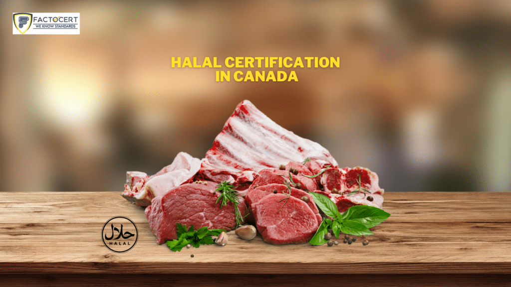 Halal Certification in Toronto