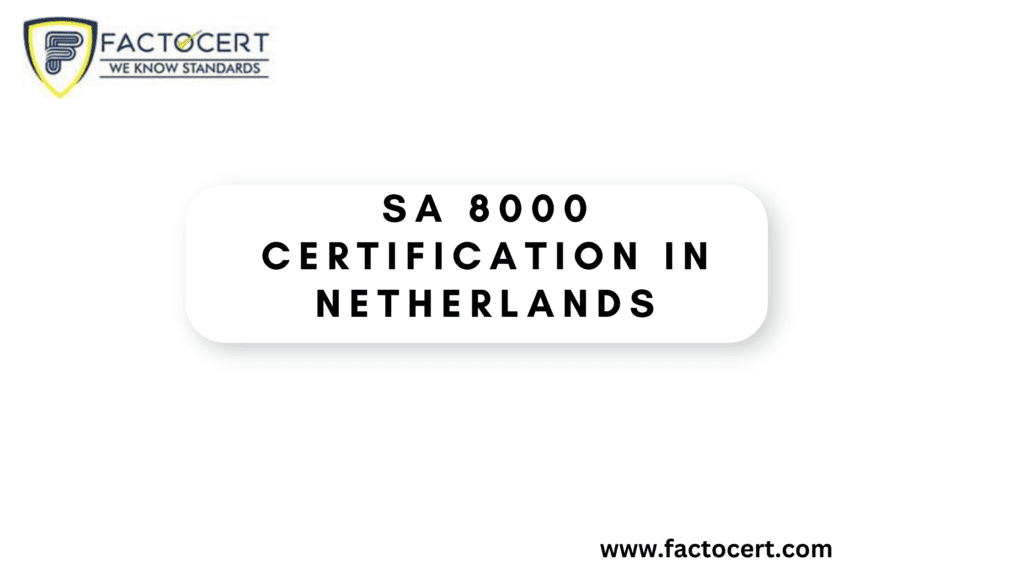 SA 8000 Certification in Netherlands