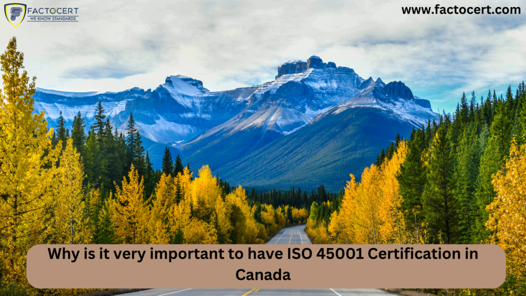 ISO 45001 Certification in Canada