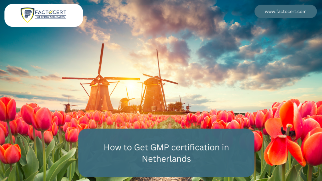 GMP certification in Netherlands