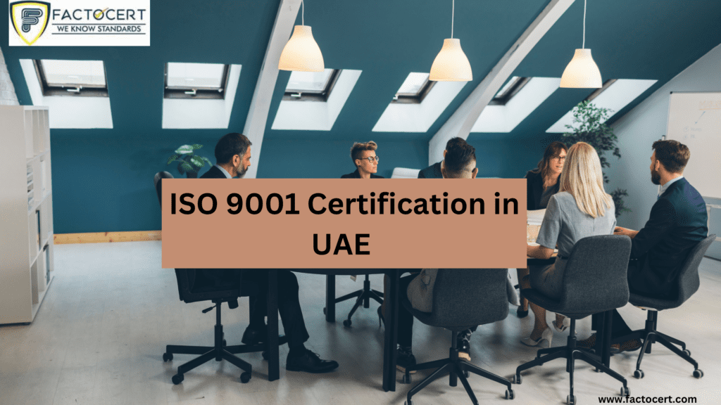 Which Sectors Should Use the ISO 9001 Certification in UAE Best ISO