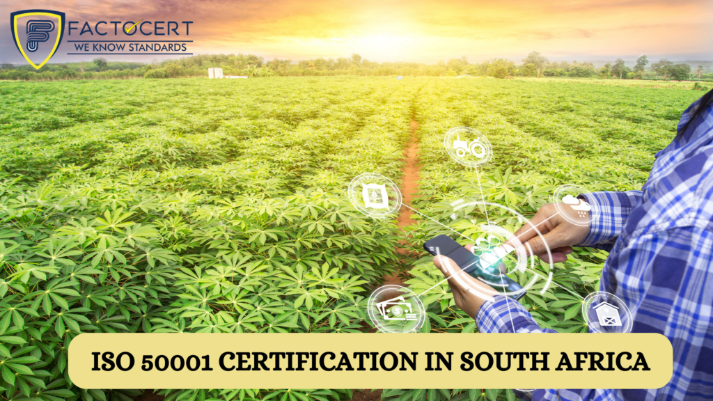 ISO-50001-Certification-in-South-Africa